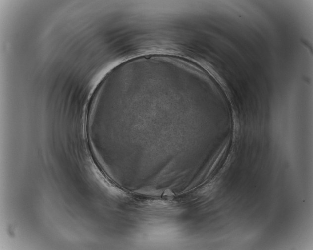 X0000101651246200807241348