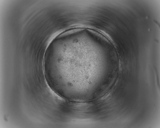 X0000101651247200807241348