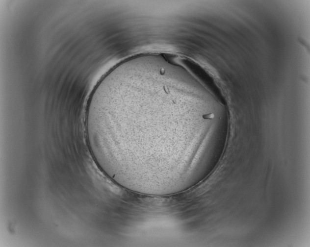 X0000101651248200807241348