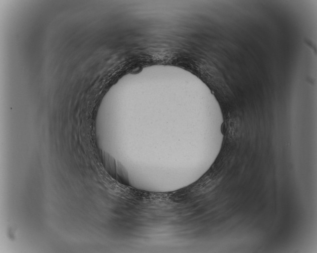 X0000101651249200807241347