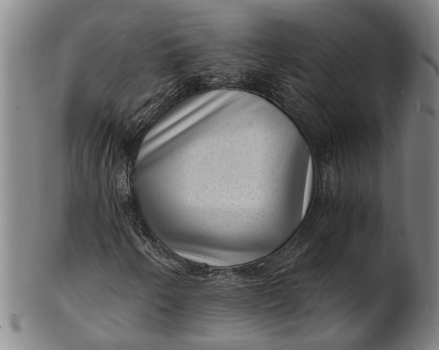 X0000101651250200807241347