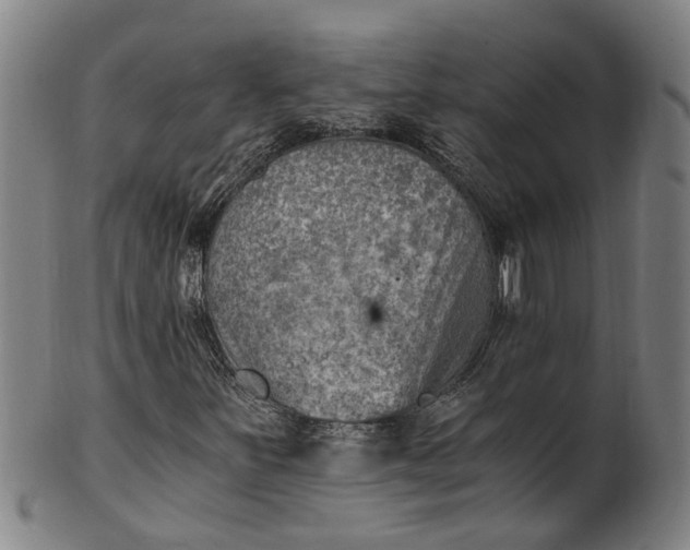 X0000101651251200807241347