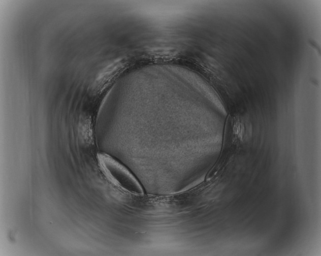 X0000101651252200807241347