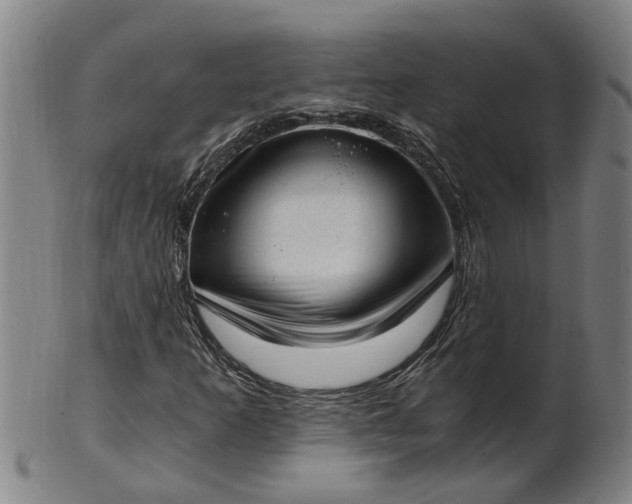 X0000101651253200807241347