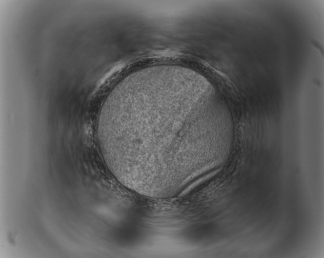 X0000101651254200807241347