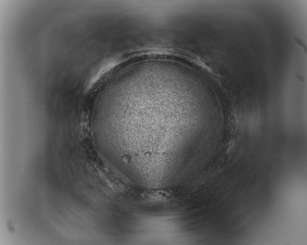 X0000101651255200807241347