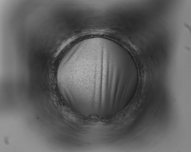 X0000101651256200807241347