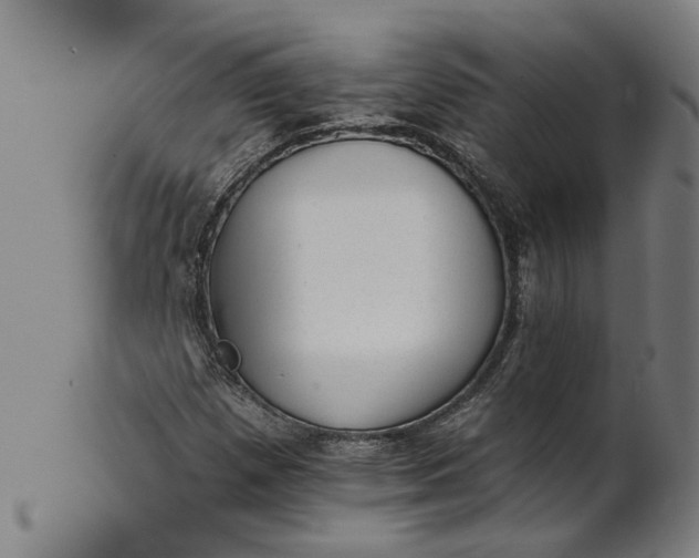 X0000101651257200807241347