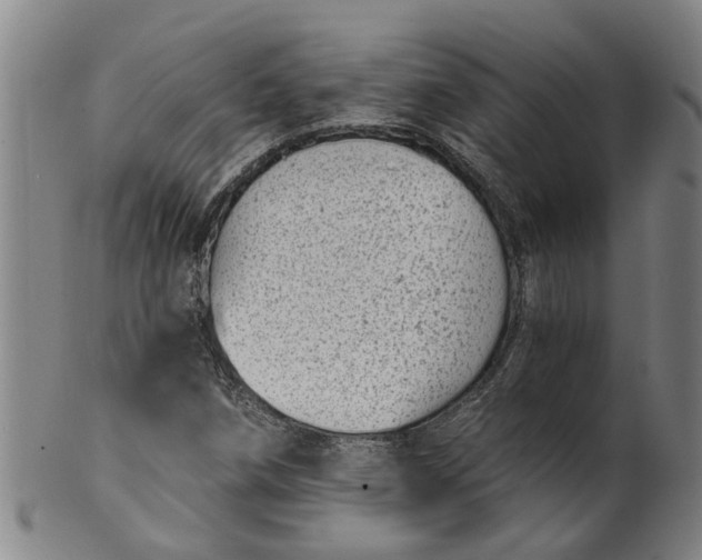 X0000101651258200807241347