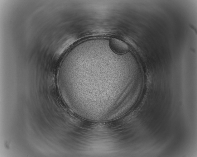 X0000101651259200807241347