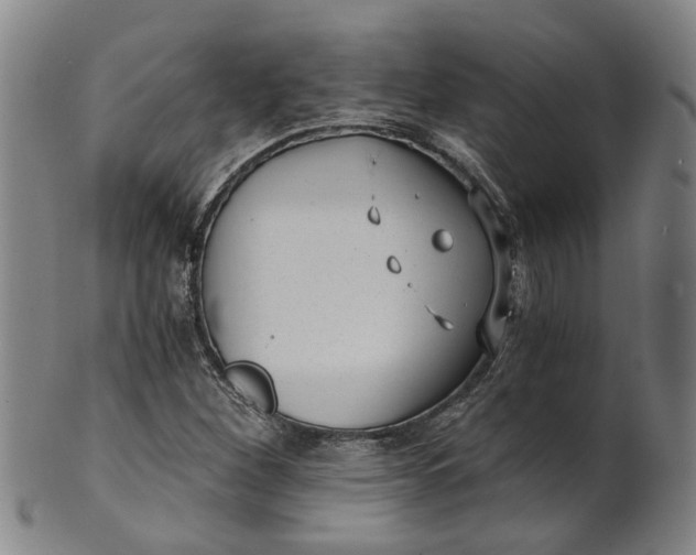 X0000101651260200807241347