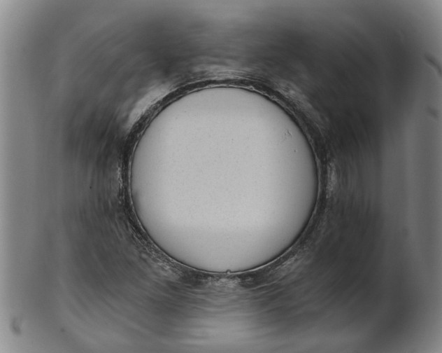 X0000101651261200807241347