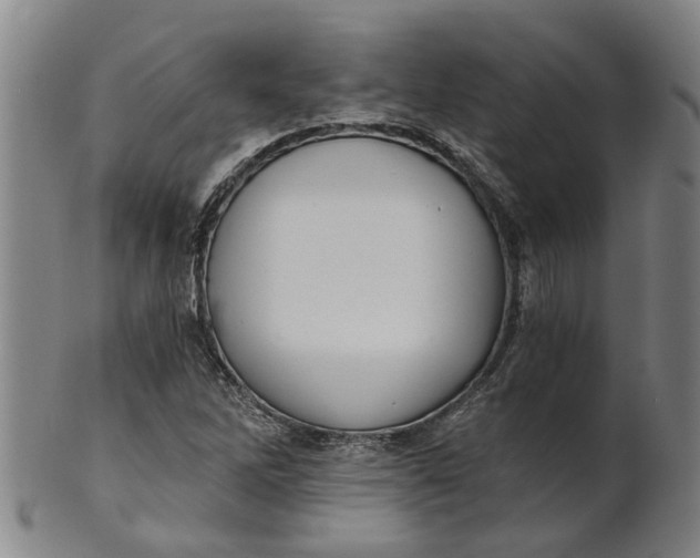 X0000101651262200807241347