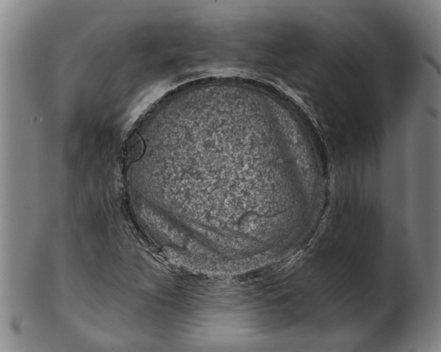 X0000101651263200807241347