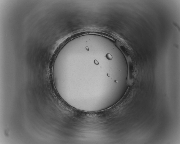 X0000101651264200807241347