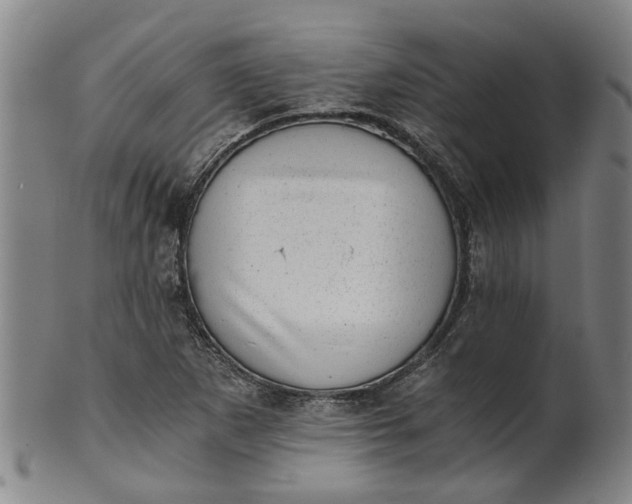 X0000101651265200807241347