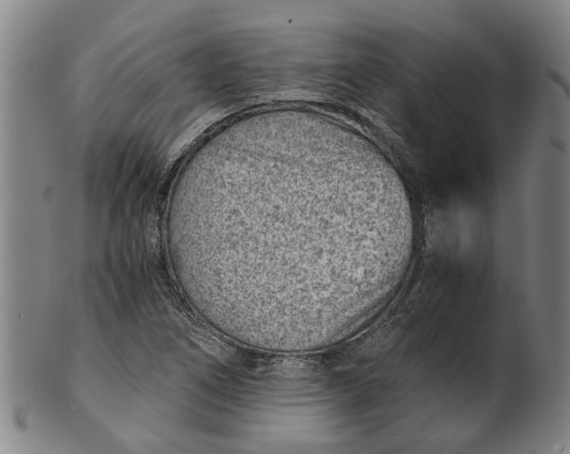 X0000101651266200807241347