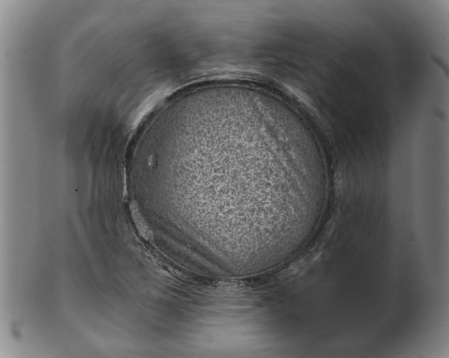 X0000101651267200807241347