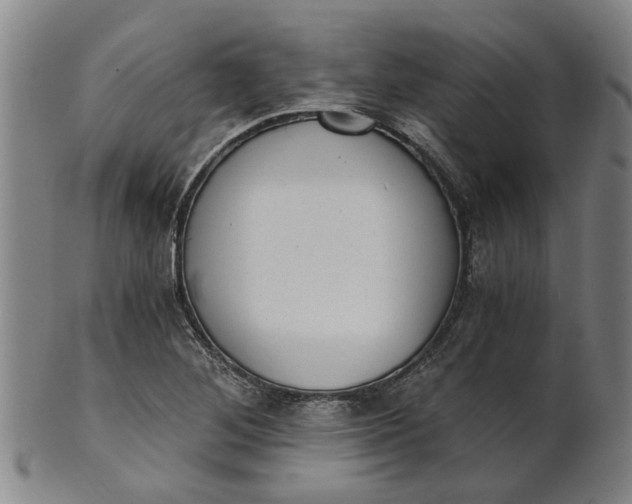 X0000101651268200807241347