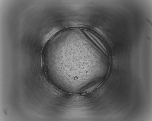 X0000101651269200807241347