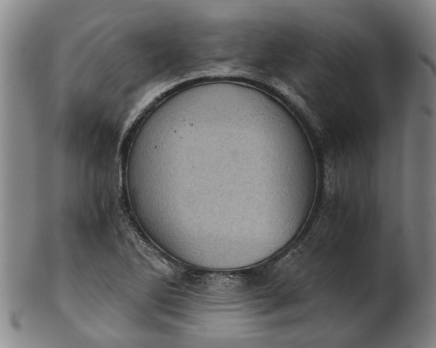 X0000101651270200807241347