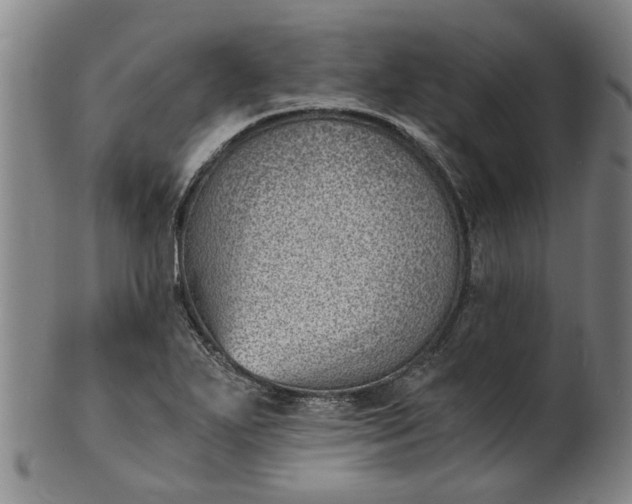 X0000101651271200807241346