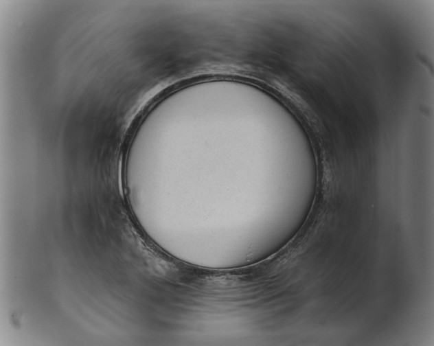 X0000101651272200807241346