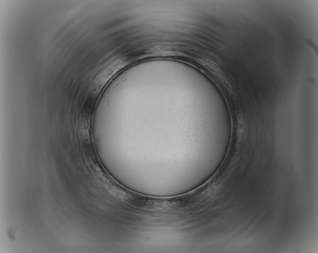 X0000101651273200807241346