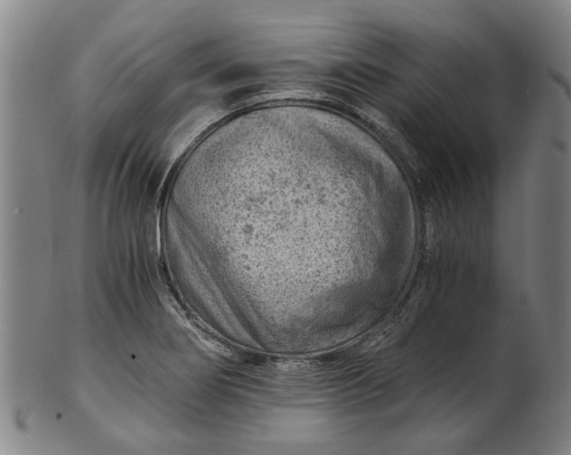 X0000101651274200807241346