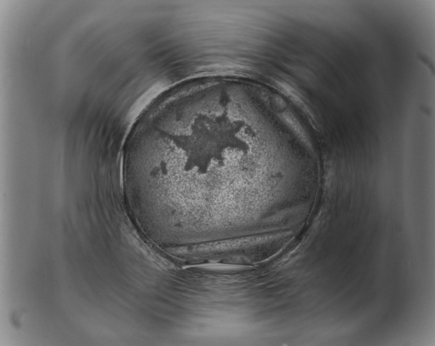 X0000101651275200807241346