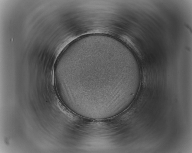 X0000101651276200807241346