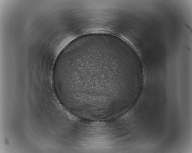 X0000101651277200807241346