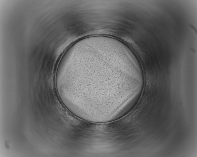 X0000101651278200807241346