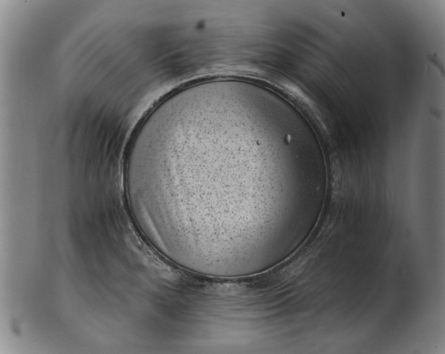 X0000101651280200807241346