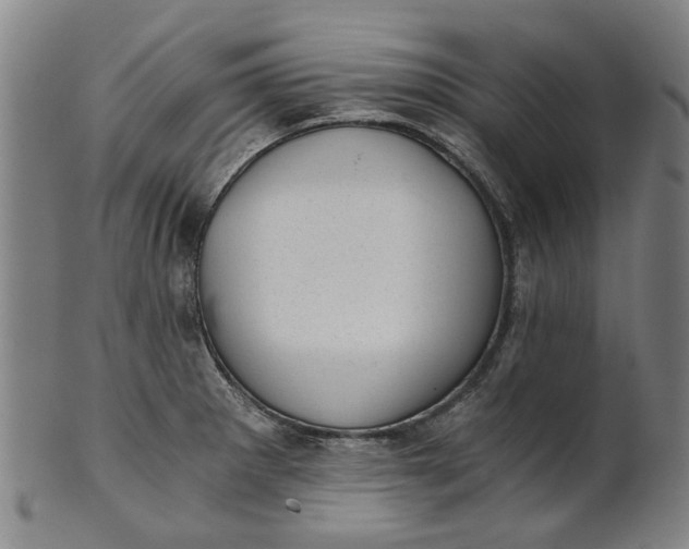 X0000101651281200807241346