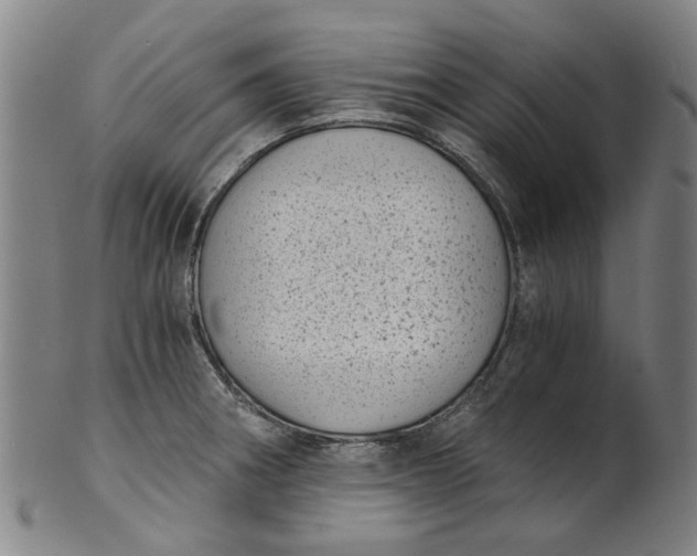 X0000101651282200807241346