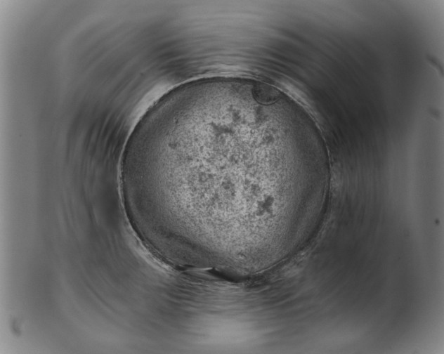 X0000101651283200807241346