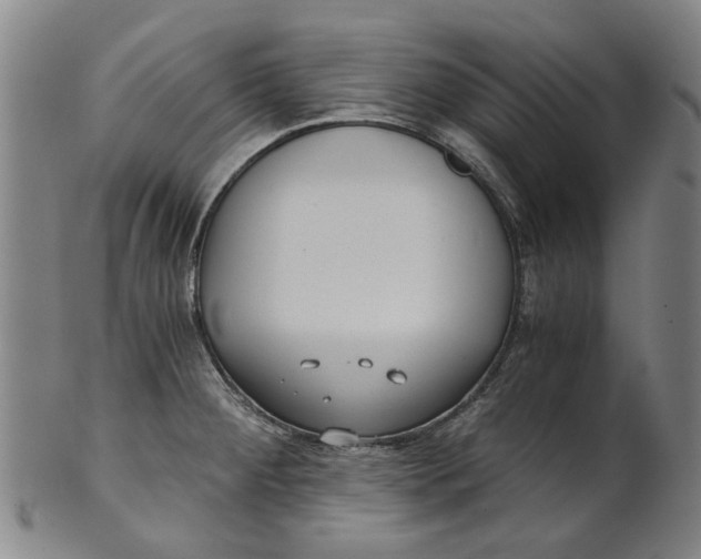 X0000101651284200807241346