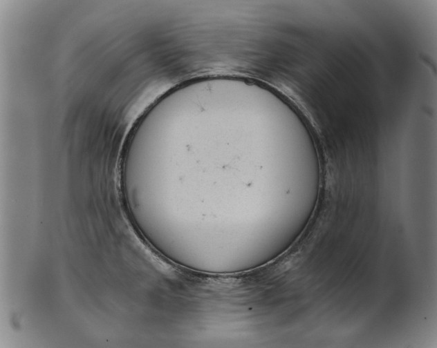 X0000101651285200807241346