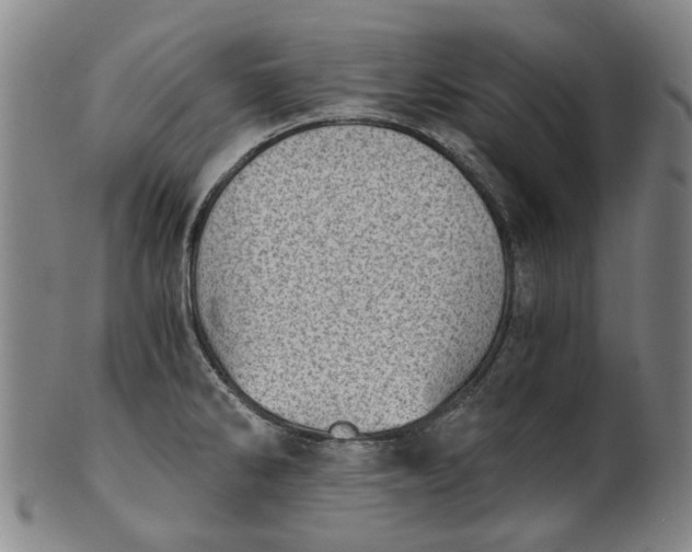 X0000101651286200807241346