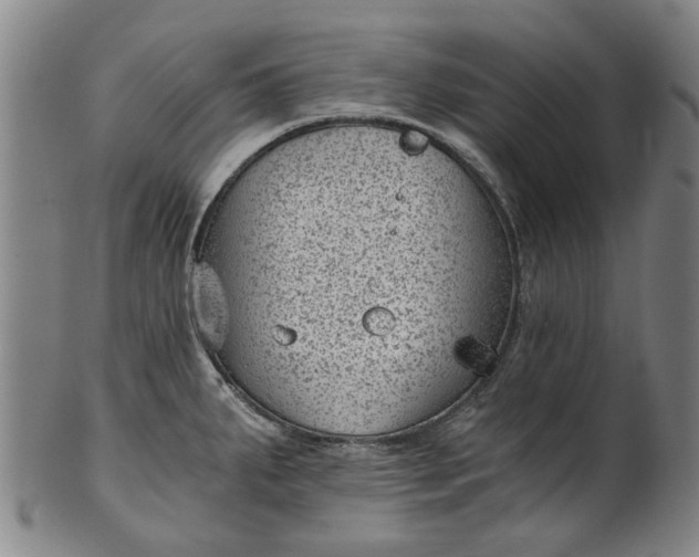 X0000101651287200807241346