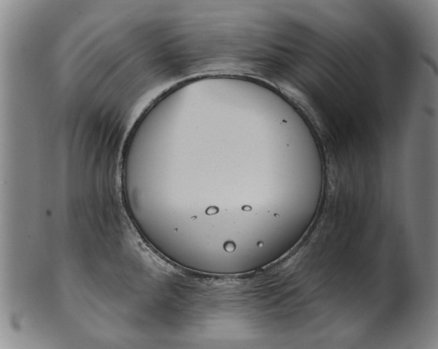 X0000101651288200807241346