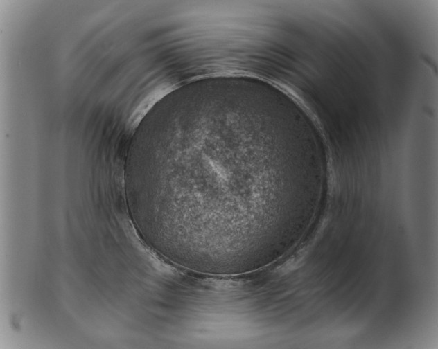 X0000101651289200807241346