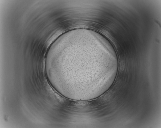 X0000101651290200807241346