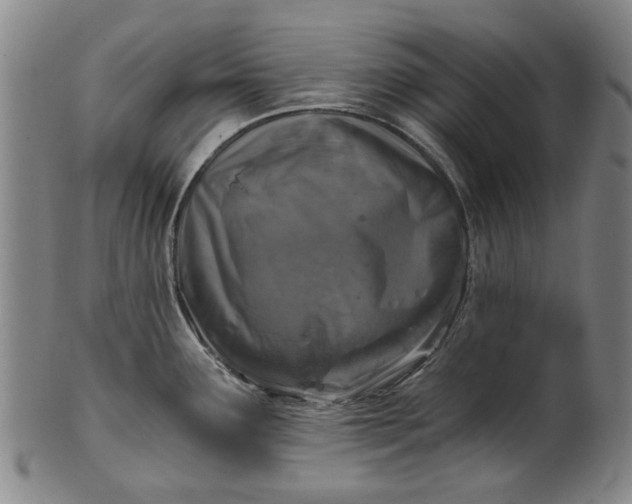 X0000101651291200807241346