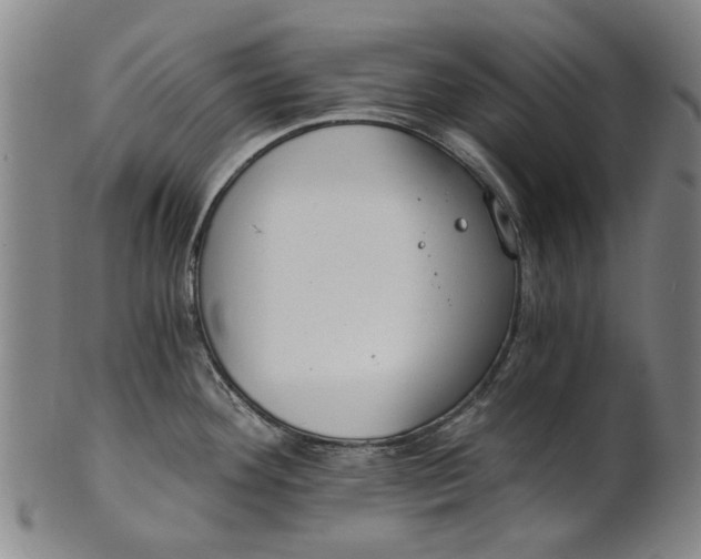 X0000101651292200807241346