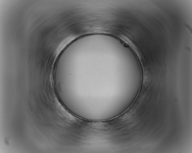 X0000101651293200807241346