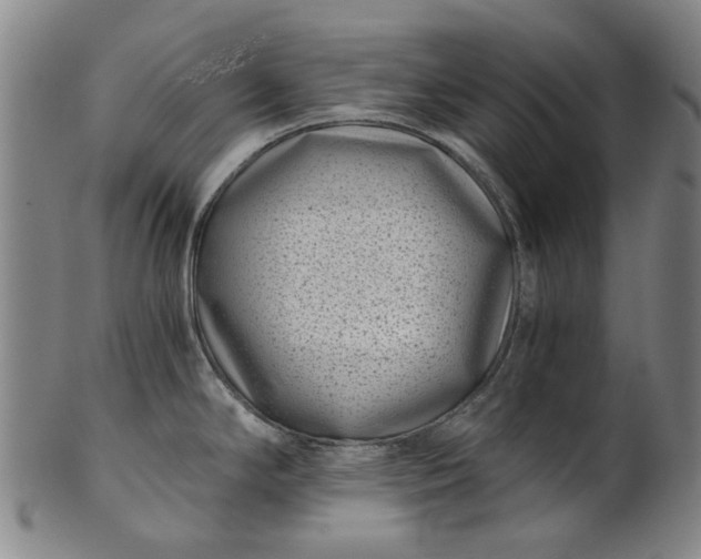 X0000101651294200807241346