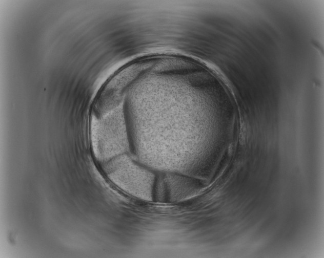 X0000101651295200807241346