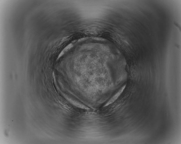 X0000101651297200807241345